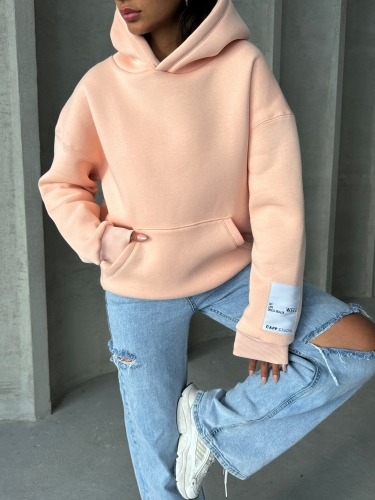 SWT-14274 Pudra Kol Etiket Detaylı Kapüşonlu Üç İplik Şardonlu Sweatshirt - 2